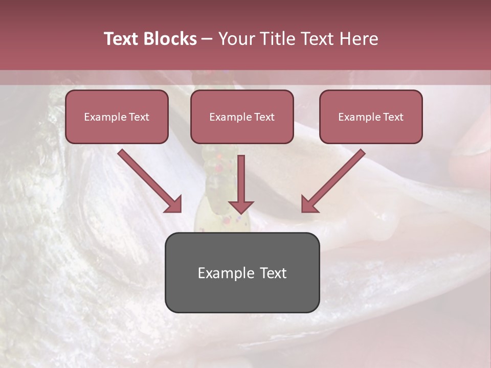 A Person Holding A Fish In Their Hand PowerPoint Template