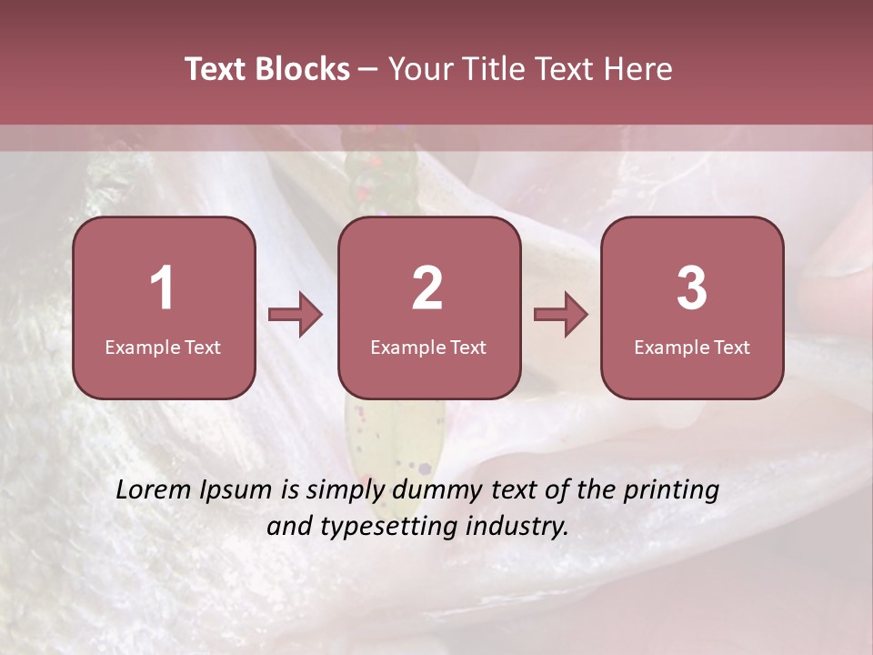 A Person Holding A Fish In Their Hand PowerPoint Template