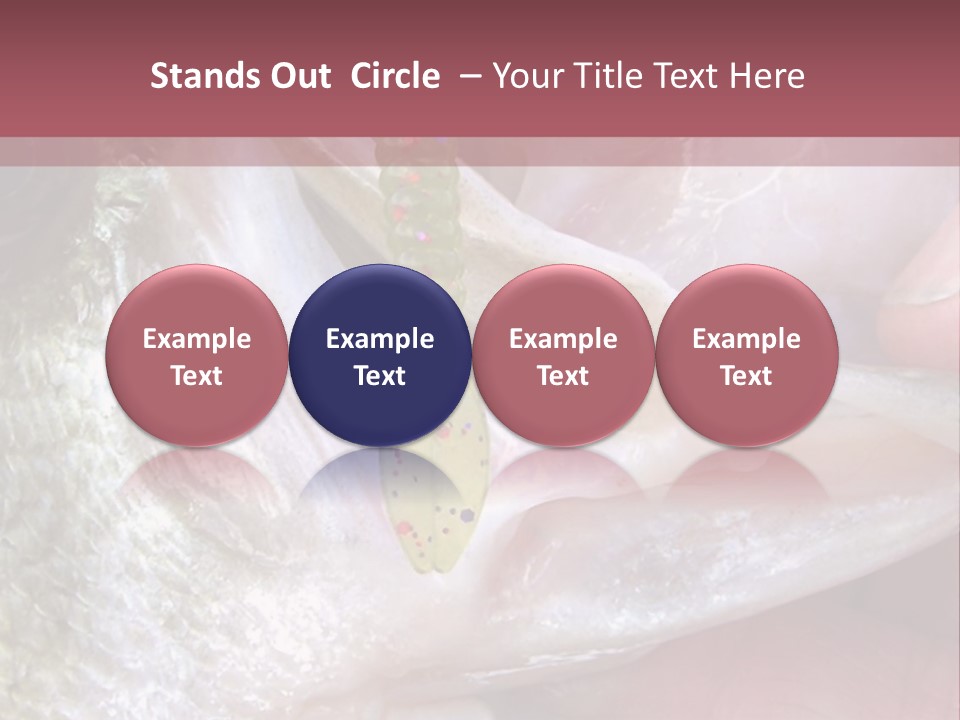 A Person Holding A Fish In Their Hand PowerPoint Template