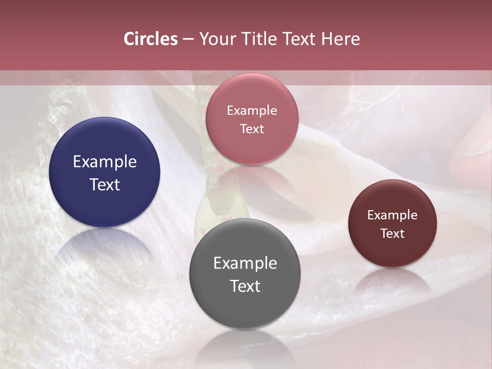 A Person Holding A Fish In Their Hand PowerPoint Template