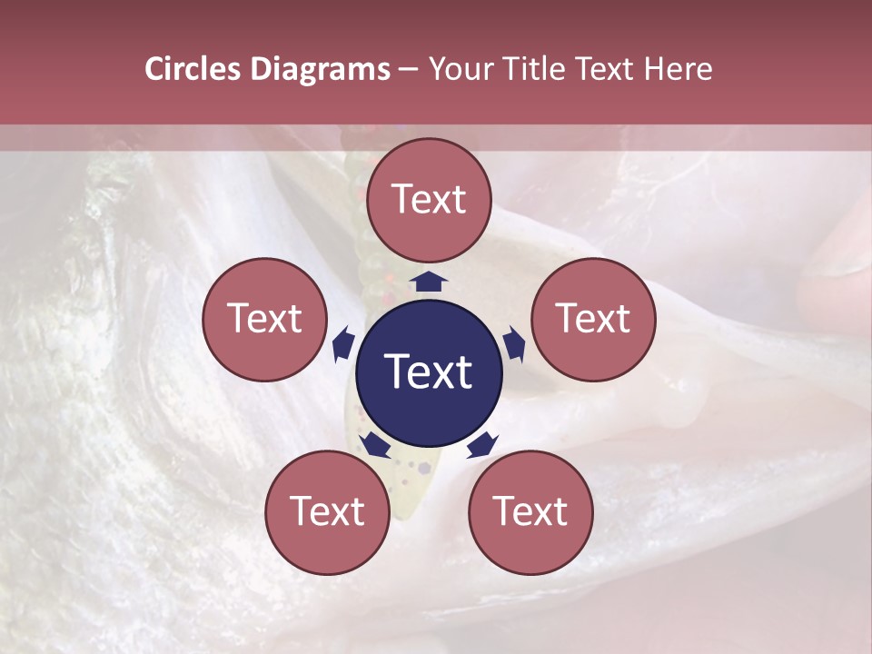 A Person Holding A Fish In Their Hand PowerPoint Template