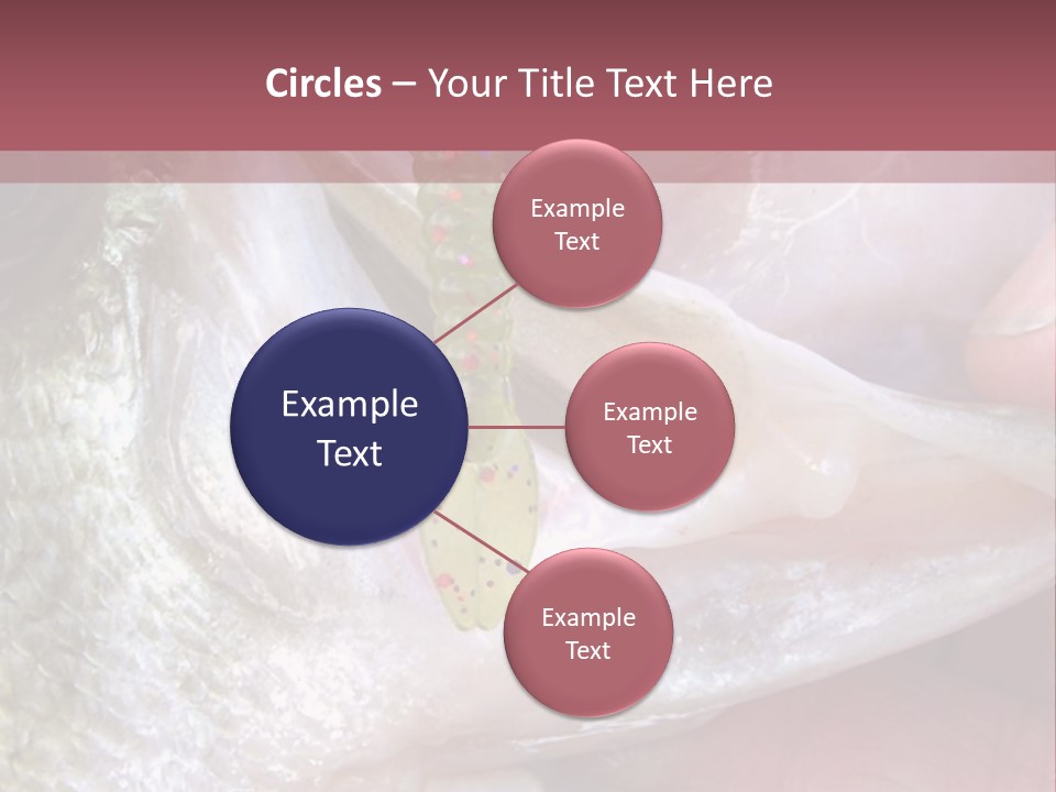 A Person Holding A Fish In Their Hand PowerPoint Template