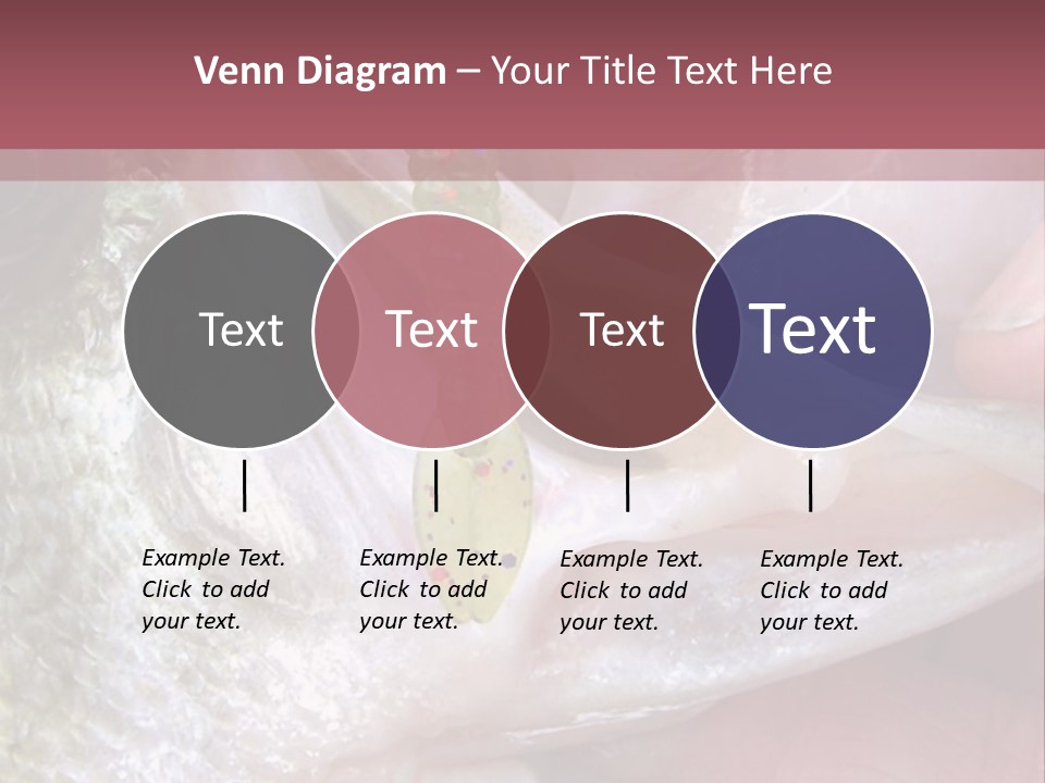 A Person Holding A Fish In Their Hand PowerPoint Template