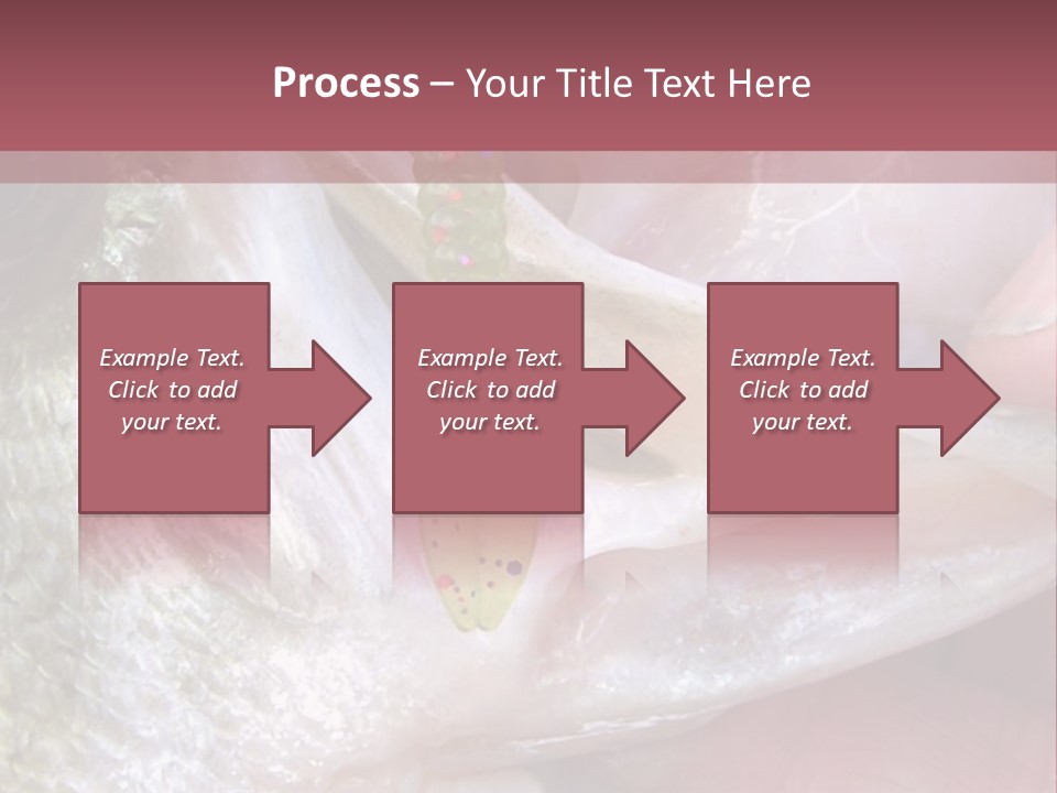 A Person Holding A Fish In Their Hand PowerPoint Template