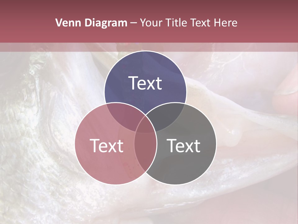 A Person Holding A Fish In Their Hand PowerPoint Template