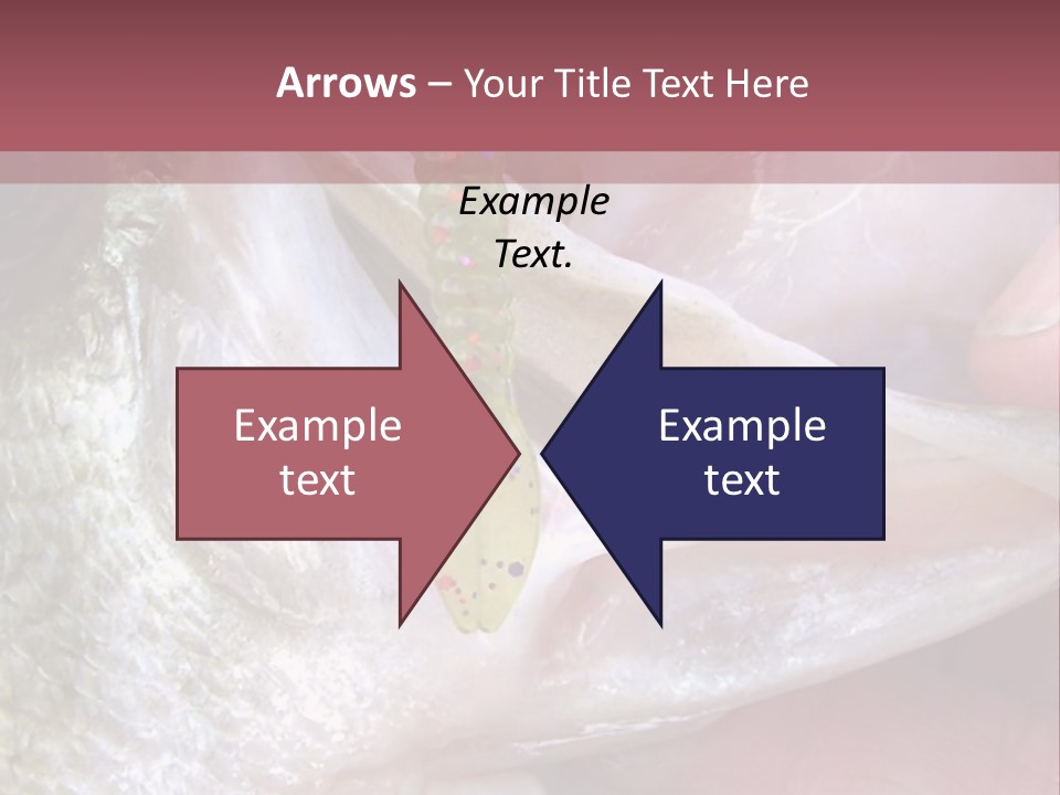 A Person Holding A Fish In Their Hand PowerPoint Template