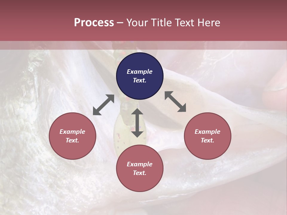 A Person Holding A Fish In Their Hand PowerPoint Template