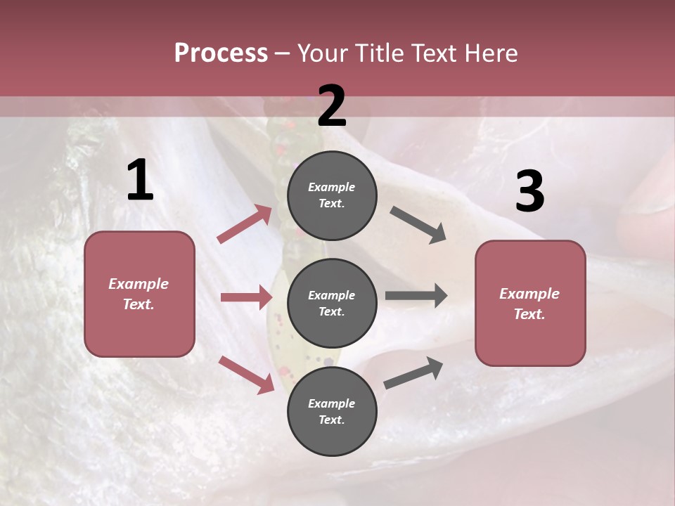 A Person Holding A Fish In Their Hand PowerPoint Template