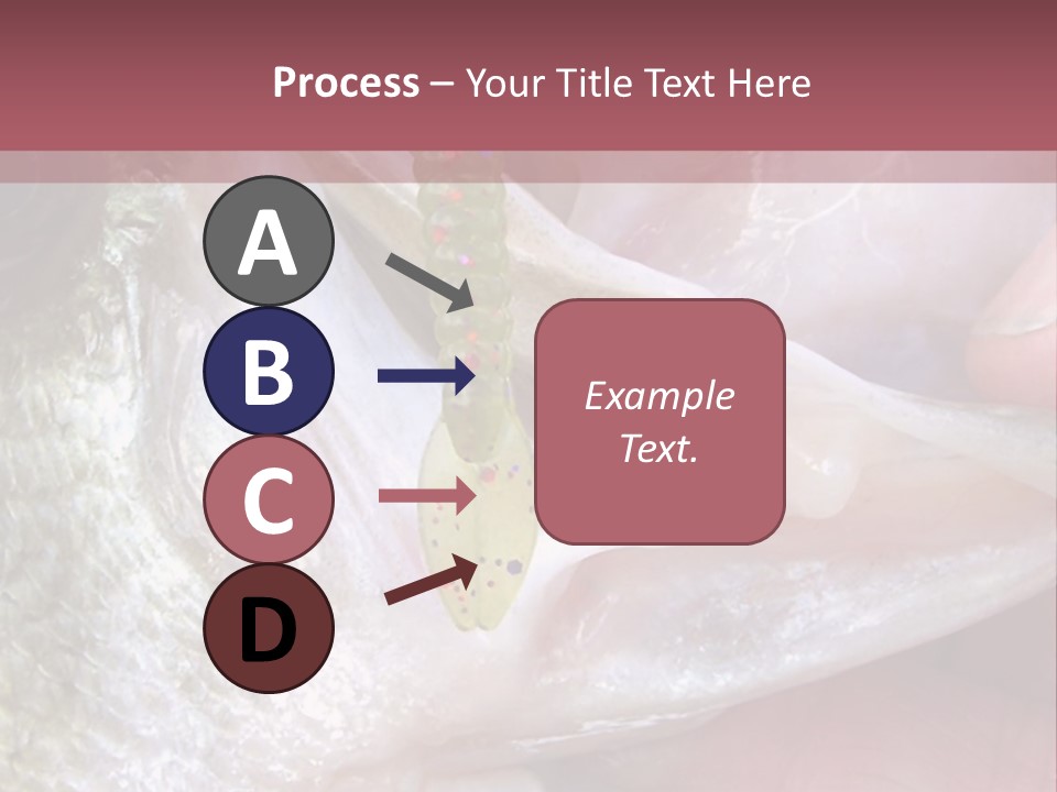 A Person Holding A Fish In Their Hand PowerPoint Template