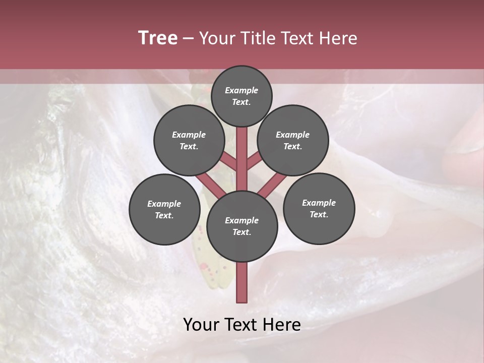 A Person Holding A Fish In Their Hand PowerPoint Template