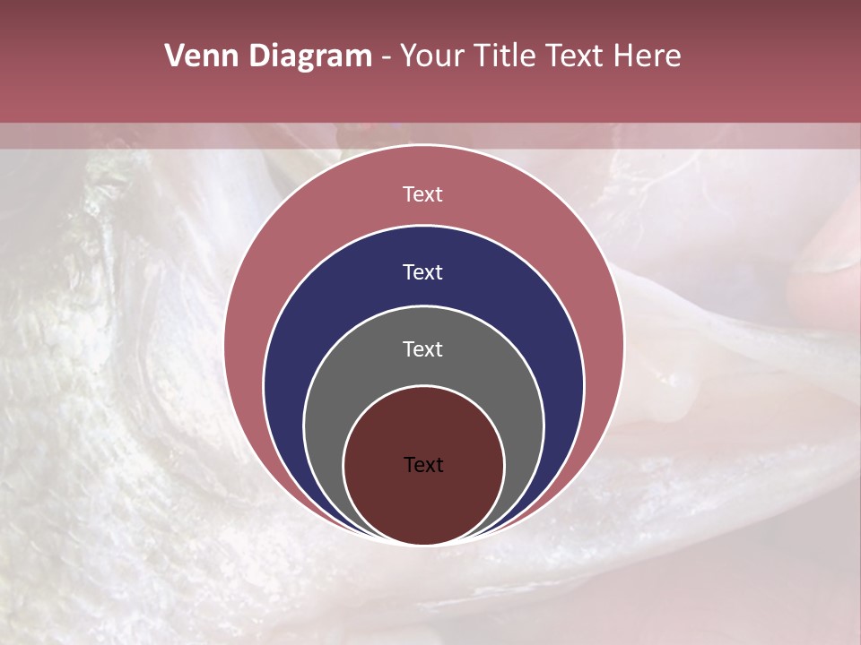 A Person Holding A Fish In Their Hand PowerPoint Template