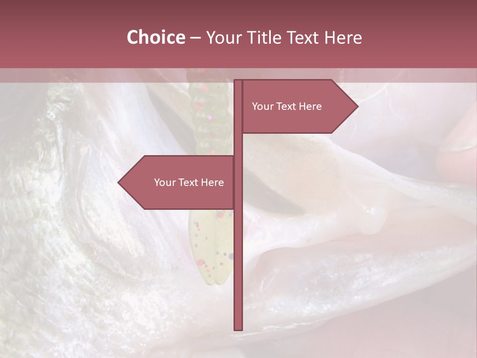 A Person Holding A Fish In Their Hand PowerPoint Template