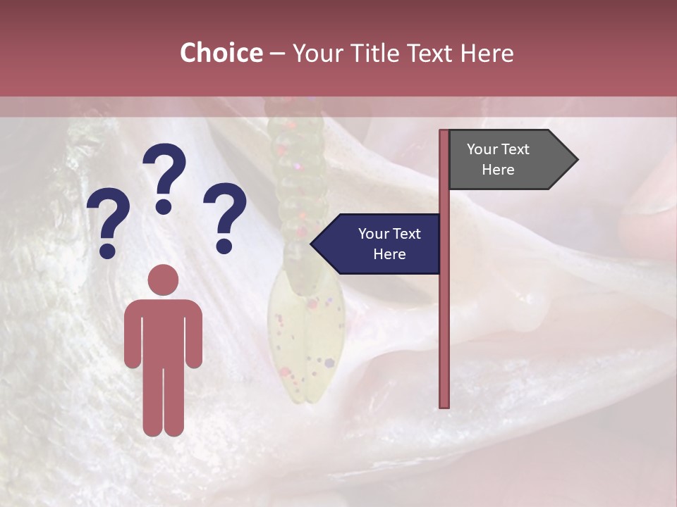 A Person Holding A Fish In Their Hand PowerPoint Template