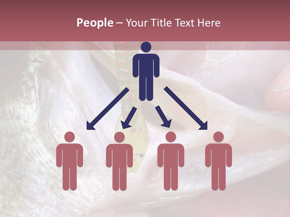 A Person Holding A Fish In Their Hand PowerPoint Template