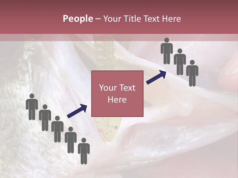 A Person Holding A Fish In Their Hand PowerPoint Template