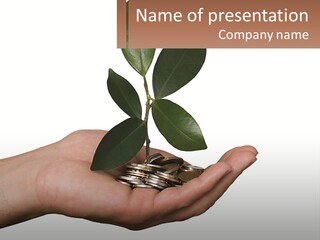 A Person Holding A Plant With Coins In Their Hands PowerPoint Template