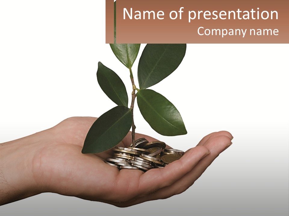 A Person Holding A Plant With Coins In Their Hands PowerPoint Template