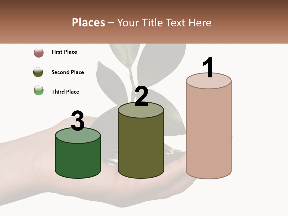 A Person Holding A Plant With Coins In Their Hands PowerPoint Template