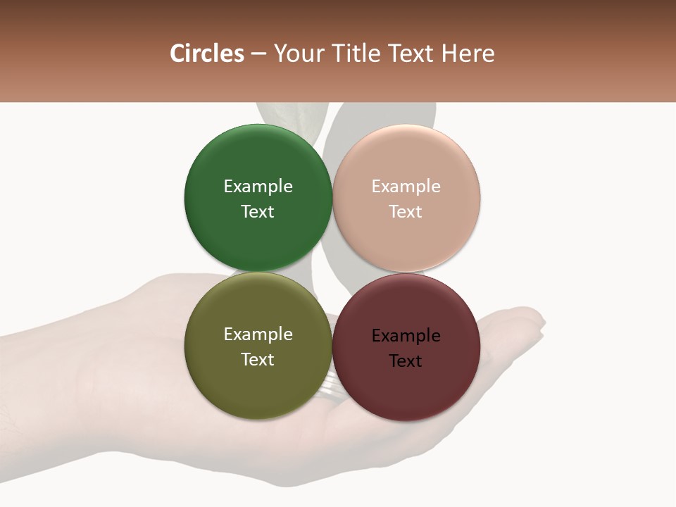 A Person Holding A Plant With Coins In Their Hands PowerPoint Template