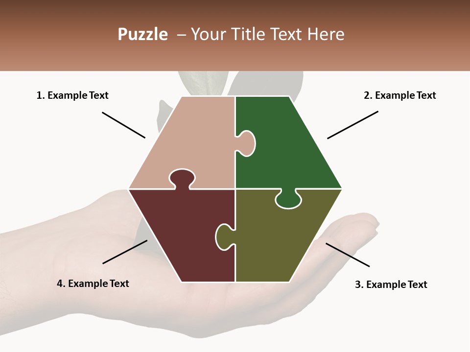 A Person Holding A Plant With Coins In Their Hands PowerPoint Template