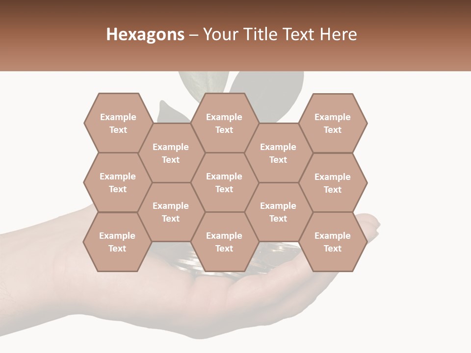 A Person Holding A Plant With Coins In Their Hands PowerPoint Template