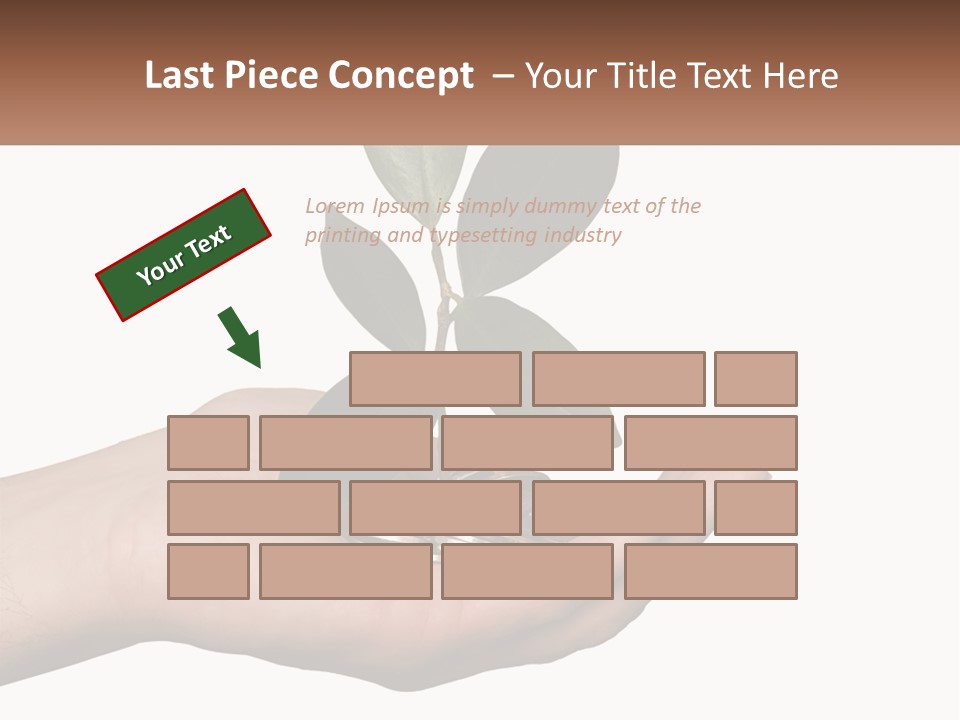 A Person Holding A Plant With Coins In Their Hands PowerPoint Template