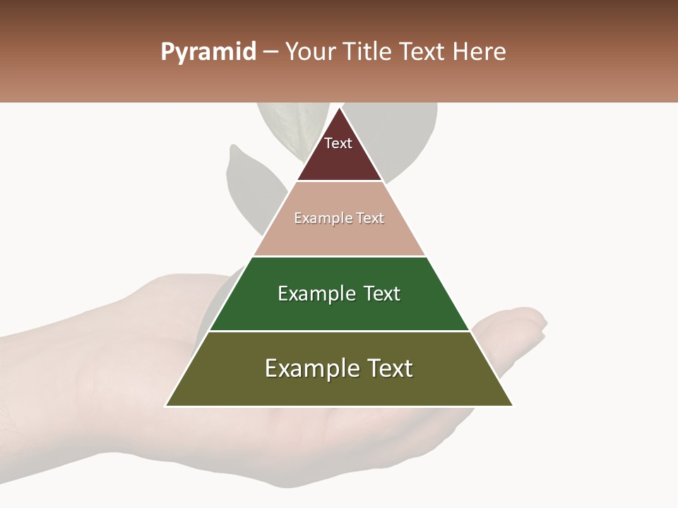 A Person Holding A Plant With Coins In Their Hands PowerPoint Template