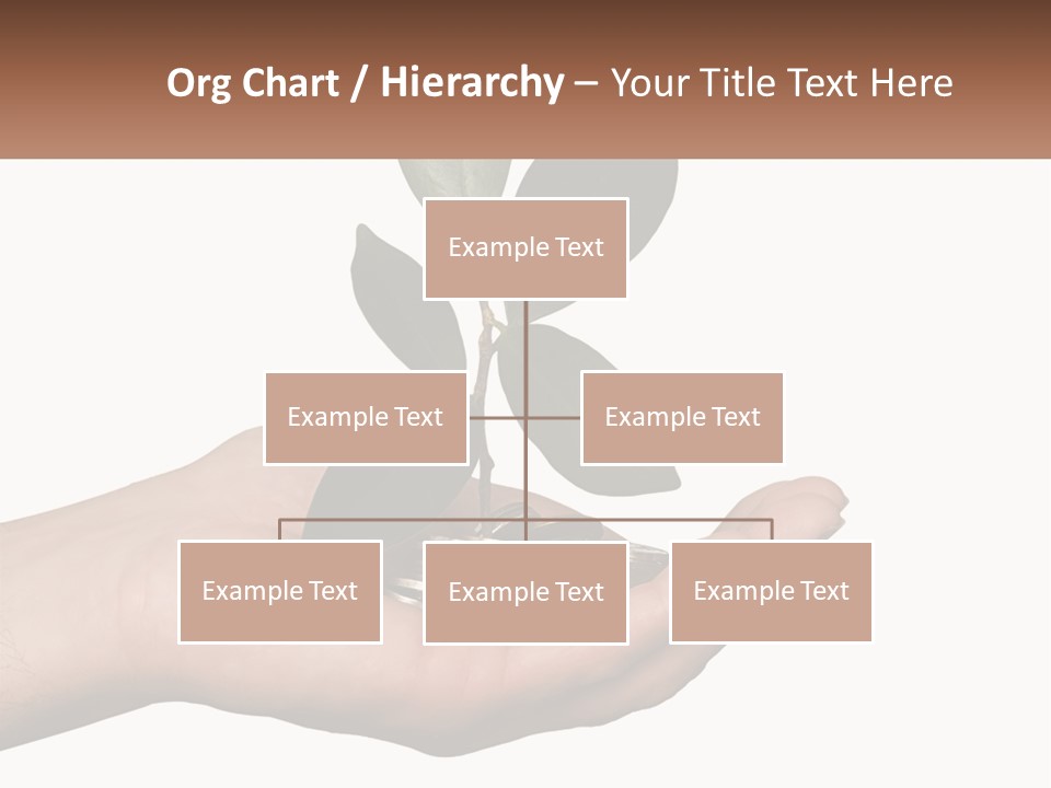 A Person Holding A Plant With Coins In Their Hands PowerPoint Template