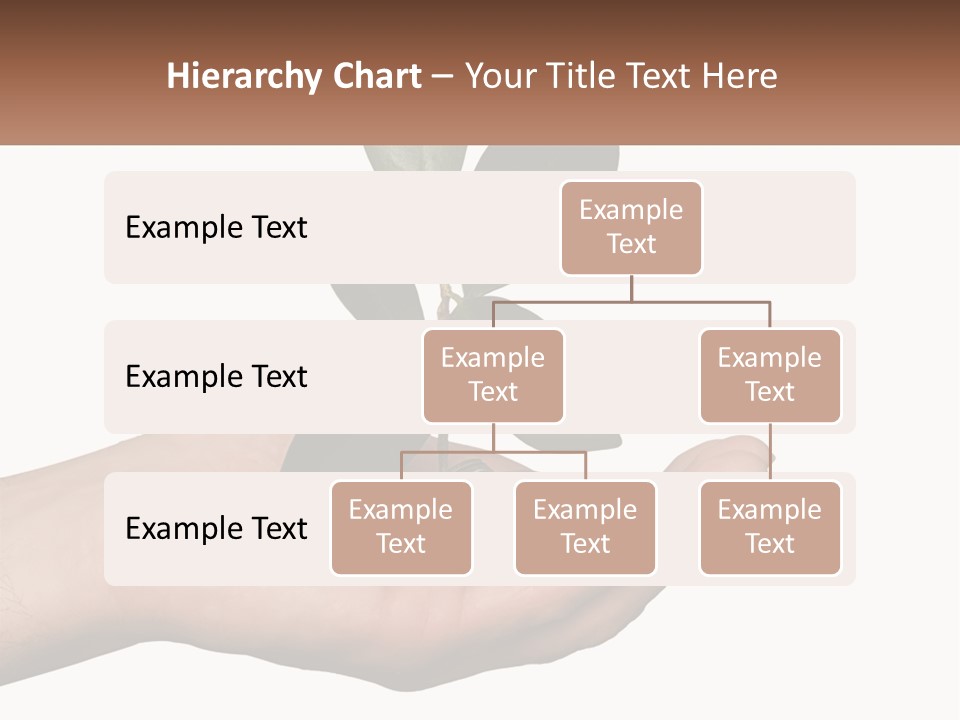A Person Holding A Plant With Coins In Their Hands PowerPoint Template
