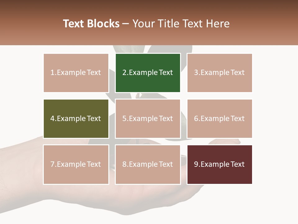 A Person Holding A Plant With Coins In Their Hands PowerPoint Template