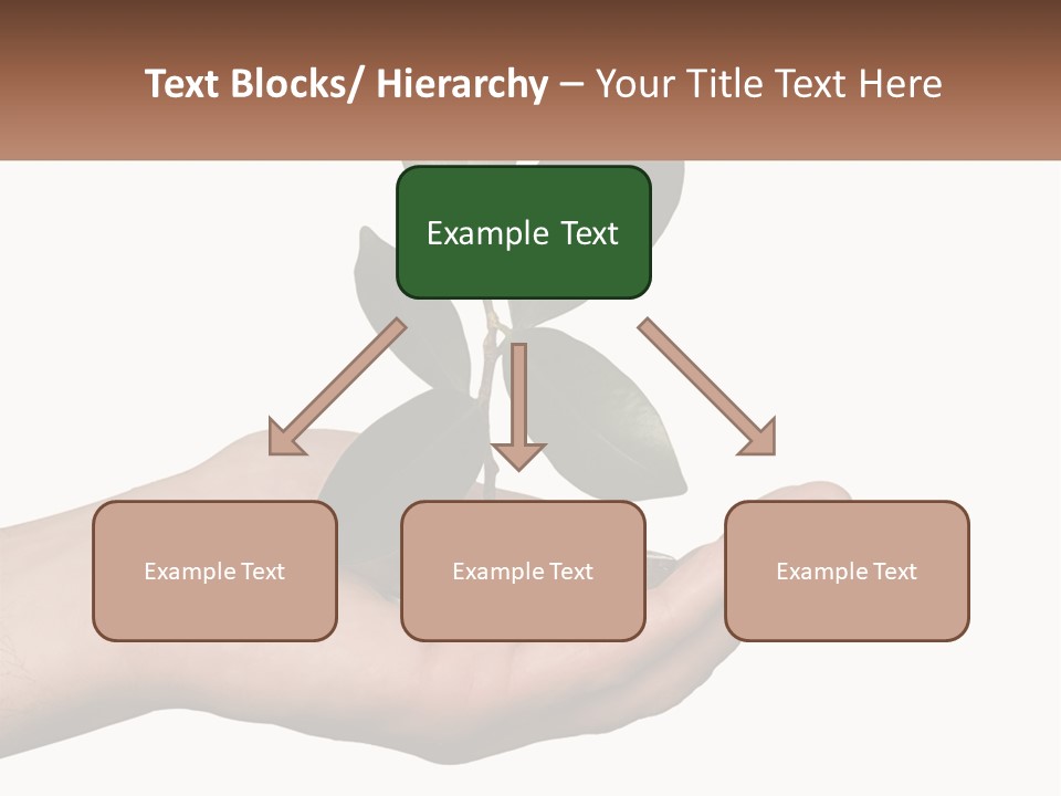 A Person Holding A Plant With Coins In Their Hands PowerPoint Template