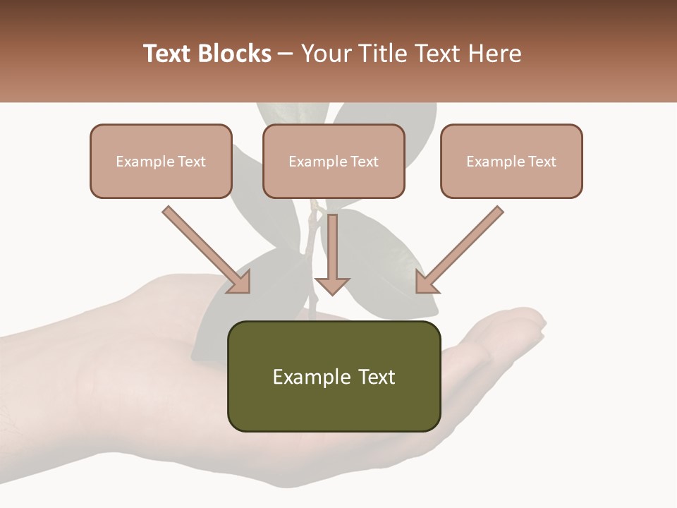 A Person Holding A Plant With Coins In Their Hands PowerPoint Template