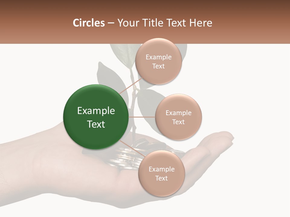 A Person Holding A Plant With Coins In Their Hands PowerPoint Template