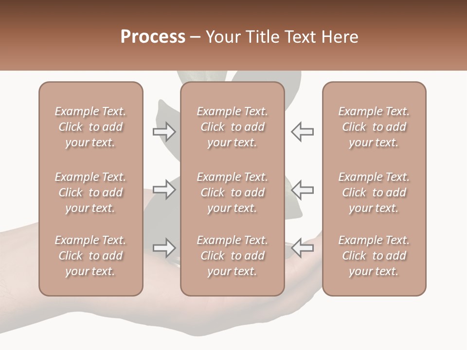A Person Holding A Plant With Coins In Their Hands PowerPoint Template