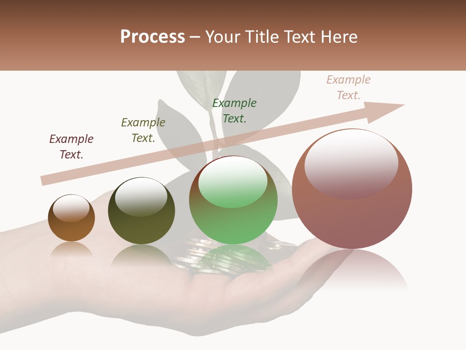 A Person Holding A Plant With Coins In Their Hands PowerPoint Template