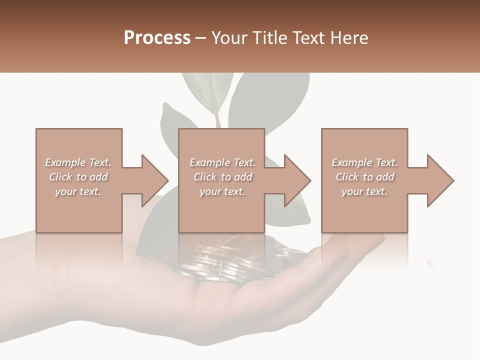 A Person Holding A Plant With Coins In Their Hands PowerPoint Template