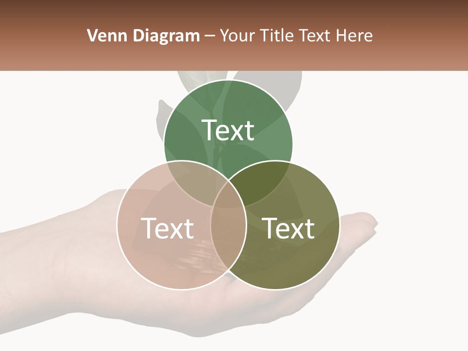 A Person Holding A Plant With Coins In Their Hands PowerPoint Template