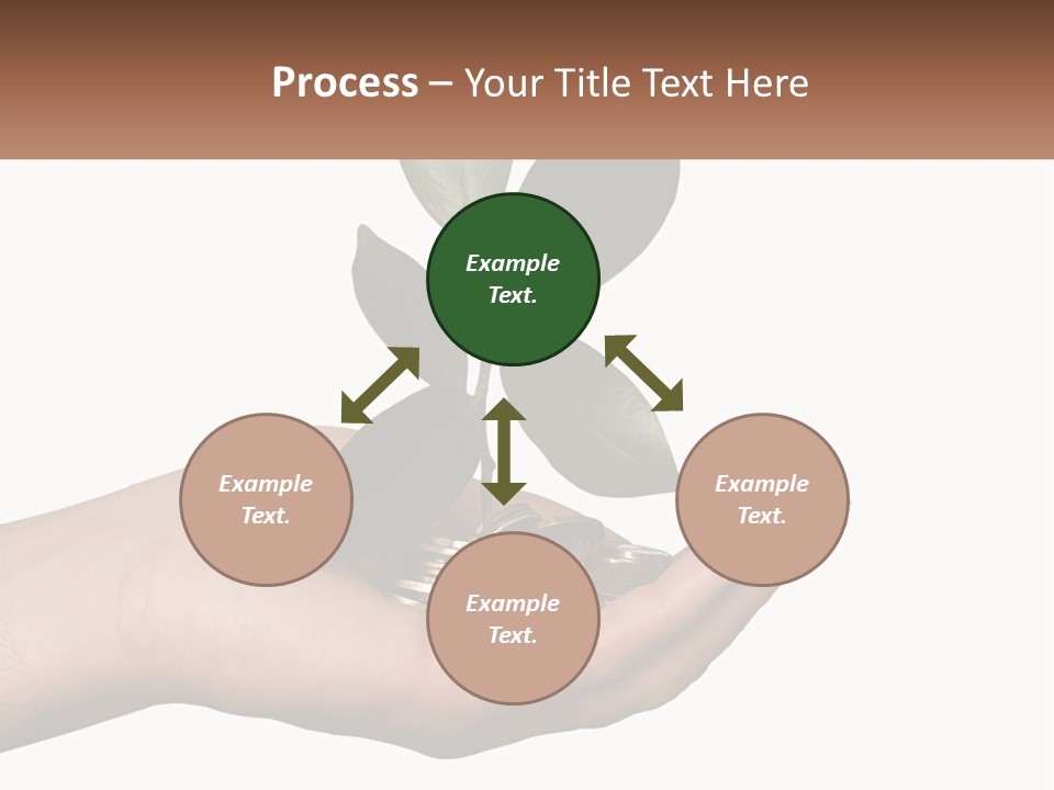 A Person Holding A Plant With Coins In Their Hands PowerPoint Template