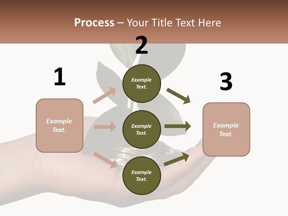 A Person Holding A Plant With Coins In Their Hands PowerPoint Template