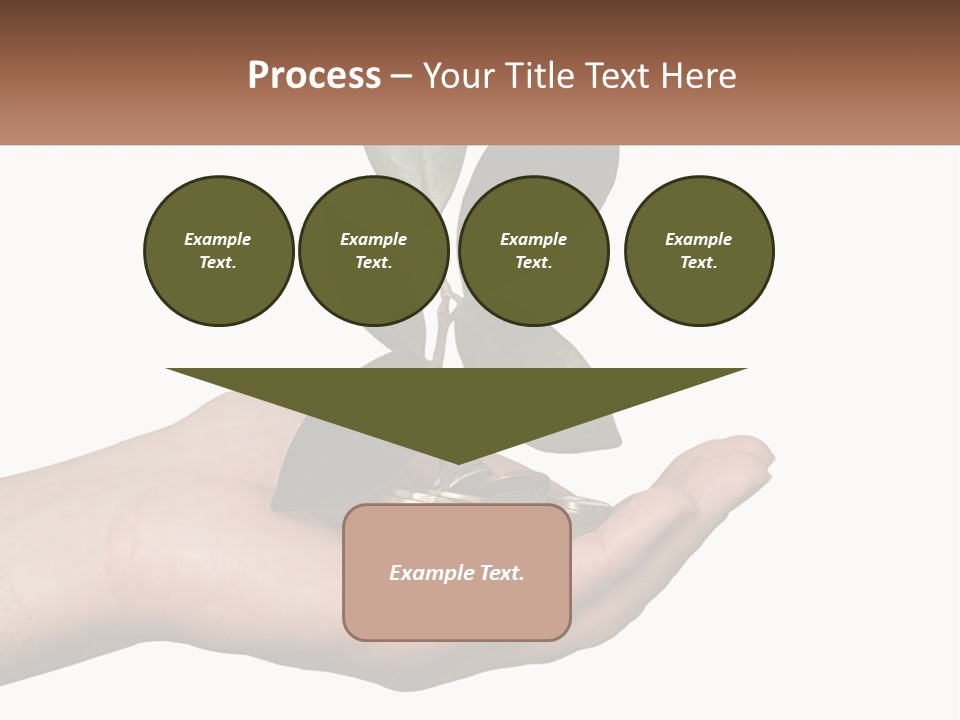 A Person Holding A Plant With Coins In Their Hands PowerPoint Template