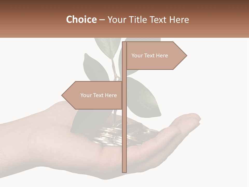 A Person Holding A Plant With Coins In Their Hands PowerPoint Template