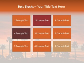 A Sunset With Palm Trees In The Foreground PowerPoint Template