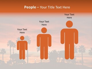 A Sunset With Palm Trees In The Foreground PowerPoint Template