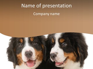 A Couple Of Dogs That Are Next To Each Other PowerPoint Template