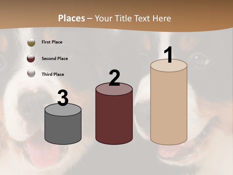 A Couple Of Dogs That Are Next To Each Other PowerPoint Template