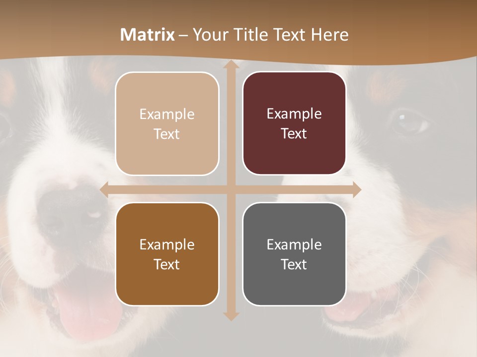 A Couple Of Dogs That Are Next To Each Other PowerPoint Template