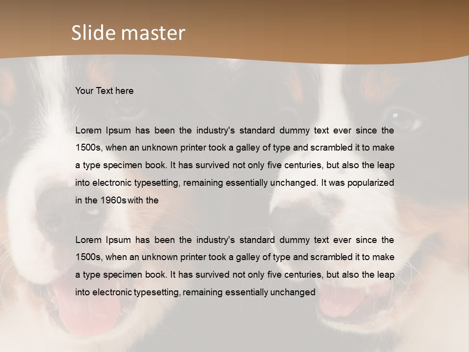 A Couple Of Dogs That Are Next To Each Other PowerPoint Template