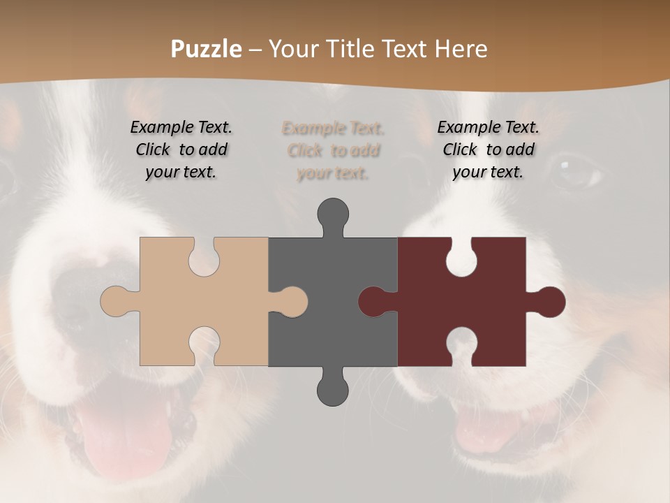 A Couple Of Dogs That Are Next To Each Other PowerPoint Template