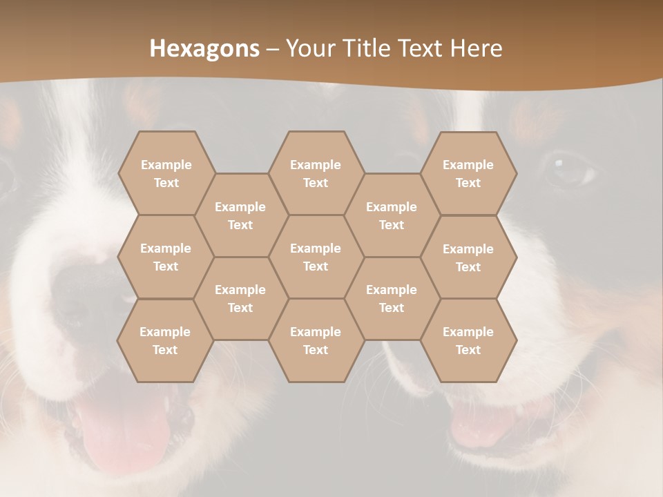 A Couple Of Dogs That Are Next To Each Other PowerPoint Template