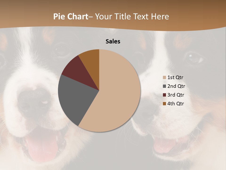 A Couple Of Dogs That Are Next To Each Other PowerPoint Template